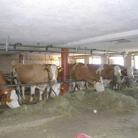 Appartement In - Zillertal 857 *